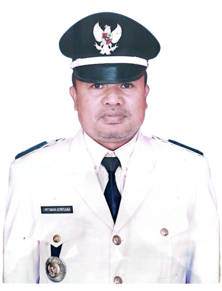 I Nyoman Adwisana, S.FIL